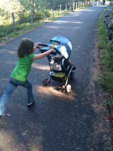 We walked about 3 miles on Saturday